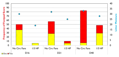 Figure 2 - Footpad lesion scores (%) and litter moisture (%) on days 16, 21 and 40 of the grow-out (Mou, 2020). The red bars are footpad scores of 2, the yellow bar are footpad scores of 1 and the difference between these two and 100 are the footpad scores of 0. The blue dot is litter moisture on the day that foot pad scores were recorded. No Circ Fans = houses with no circulation fans and 1/3 HP = houses with high volume air circulation fans. 