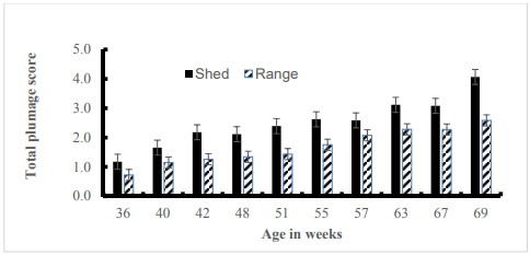 Figure 1 - Total plumage score observed on hens found inside and outside sheds across farms. 