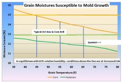 Pay Attention to Condition of Stored Corn - Image 1