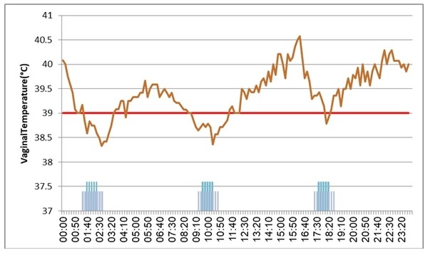 Continuous monitoring of cow