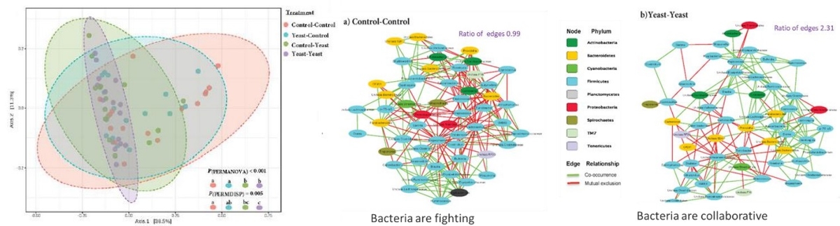 Effect of Sc 47 yeast probiotic yeast on the performance and hindgut microbiota composition of weanling pigs - Image 1