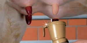 A Pocket Guide to Modern Milking Technique - Image 3