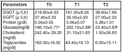 An Evaluation of comparative effects of feeding synthetic and herbal choline on broiler performance, nutrient balance and serum activities - Image 3