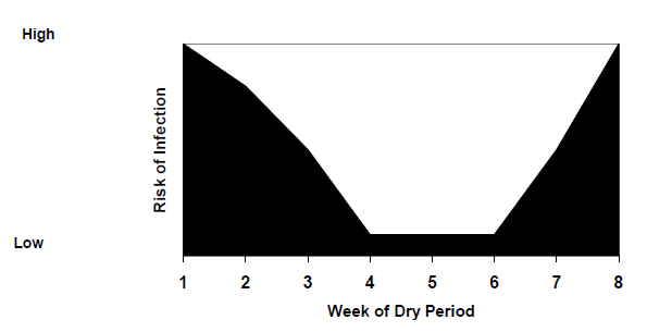 Emerging Mastitis Threats on the Dairy - Image 3