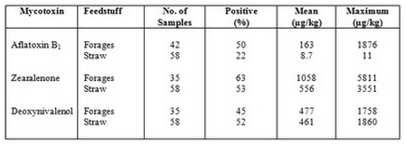 Mycotoxin Effects in Dairy Cattle - Image 2