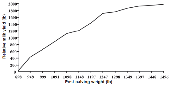 Management and Economic Considerations in Dairy Heifer Development - Image 1