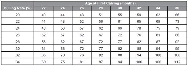Management and Economic Considerations in Dairy Heifer Development - Image 3