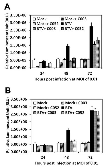 Novel Virostatic Agents against Bluetongue Virus - Image 6