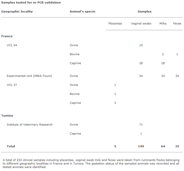 Simultaneous differential detection of Chlamydophila abortus, Chlamydophila pecorum and Coxiella burnetii from aborted ruminant's clinical samples using multiplex PCR - Image 1