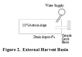Culture of Freshwater Prawns in Ponds - Image 2