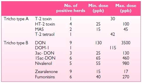 Performance of dairy cows facing suspected mycotoxin problems - Image 1