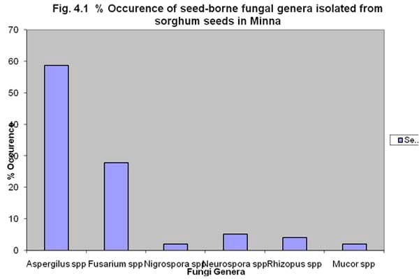 The use of Lippia multiflora leaf extract to control the influence of Aspergillus niger and its metabolite on germinability and seedling vigour of sorghum (Sorghum bicolor ([L.] moench) - Image 5