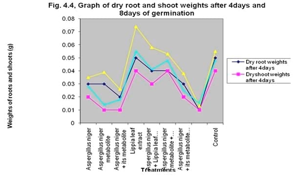 The use of Lippia multiflora leaf extract to control the influence of Aspergillus niger and its metabolite on germinability and seedling vigour of sorghum (Sorghum bicolor ([L.] moench) - Image 8