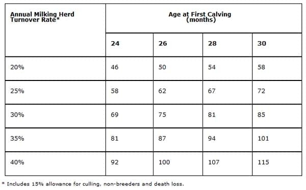 The Cost of Raising Replacement Dairy Heifers - Image 4