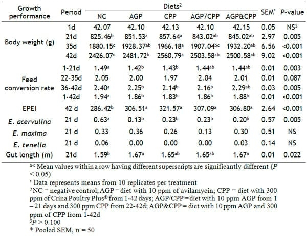 Effects of a combination of benzoic acid and essential oil compounds on broilers performance and health - Image 1