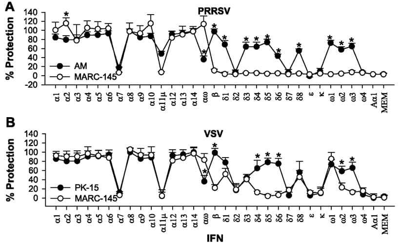 Differential expression and activity of the porcine type I interferon family - Image 8