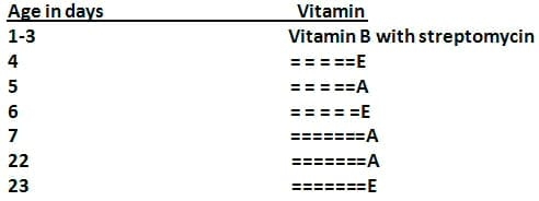 The effect of sex, age and live weight (1) –on the fat deposition and fatty acids in broiler chicks fattened to higher weights. - Image 2