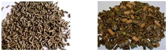 Effect of Mash Feed on the Performance of Growing Rabbits - Image 3