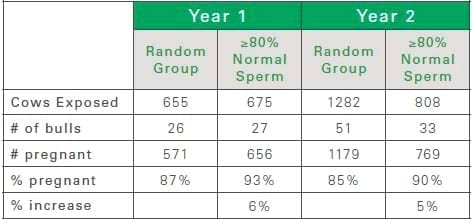 Reproductive Fertility in Herd Bulls - Image 5