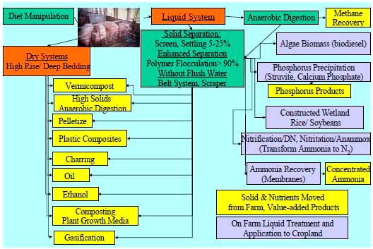 Development of Clean Technologies for Management of Wastes from Pig Production and their Environmental Benefits - Image 3