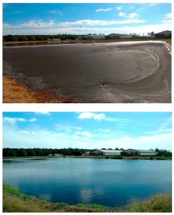 Development of Clean Technologies for Management of Wastes from Pig Production and their Environmental Benefits - Image 6