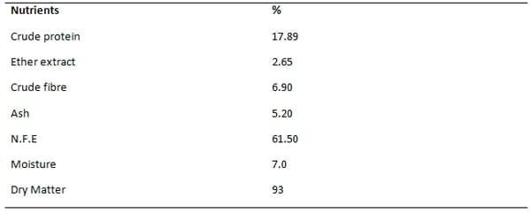 Effect of Dietary Supplementation with Vitamins E and C on the Growth Performance of Weaner Pigs - Image 2