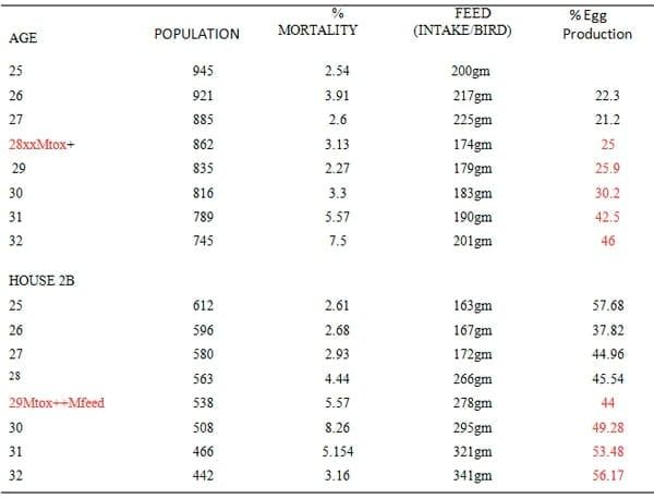 Effect of MTOX + Mfeed Intervention on Performances of Broiler Layer Breeder during an Outbreak of Fowl Cholera in South West Humid Tropics of Nigeria - Image 2