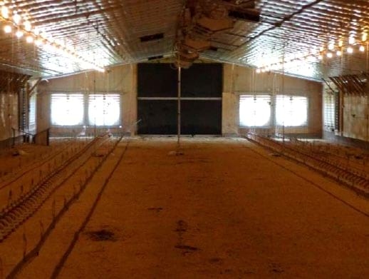 Forced Air Furnaces Can Reduce Bird Cooling During Hot Weather - Image 9