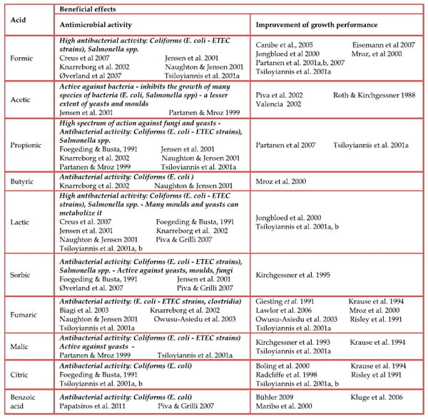 The Prophylactic Use of Acidifiers as Antibacterial Agents in Swine - Image 3