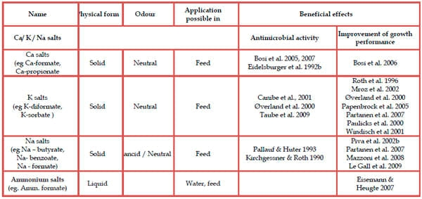 The Prophylactic Use of Acidifiers as Antibacterial Agents in Swine - Image 4
