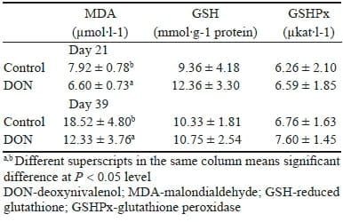 The effect of feeding a diet naturally contaminated with deoxynivalenol on production traits and selected biochemical indicators of broiler chickens - Image 7