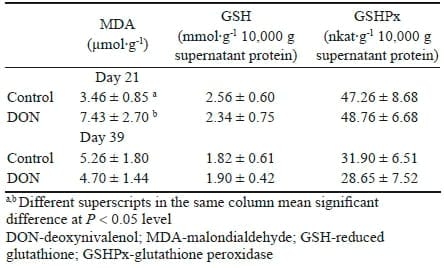 The effect of feeding a diet naturally contaminated with deoxynivalenol on production traits and selected biochemical indicators of broiler chickens - Image 8