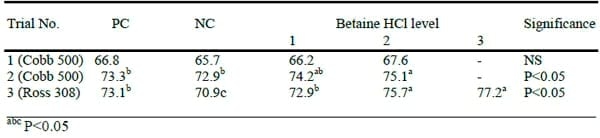 Betaine HCL Improves Carcass Yield in Broilers - Image 1