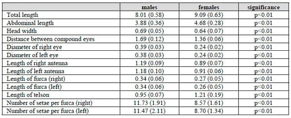 Morphological and biometric characterisation of rare males and sexual dimorphism in parthenogenetic Artemia (Crustacea: Anostraca) - Image 1
