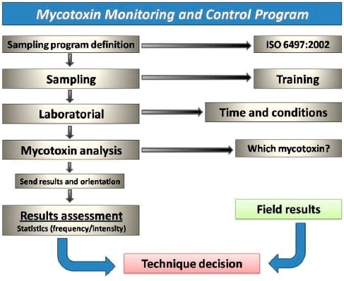 Mycotoxin: impacts and control strategies - Image 4