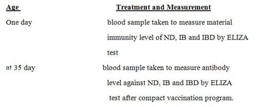 Find the Best Way to Vaccination Against Infectious Bronchitis and Infectious Bursal Disease - Image 1