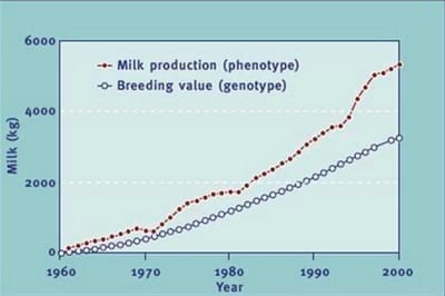 Reproductive Performance in High-producing Dairy Cows: Can We Sustain it Under Current Practice?-Part I - Image 6