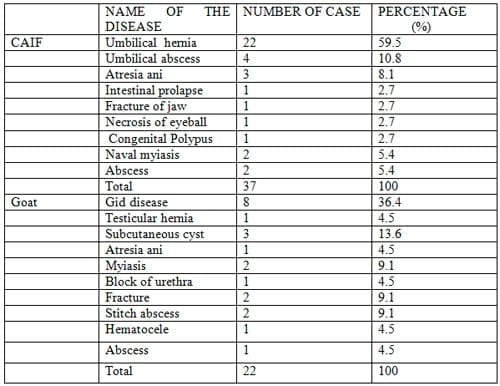 Prevalence of Common Surgical Affections in Calves and Goat at Jhenidah Sadar - Image 1