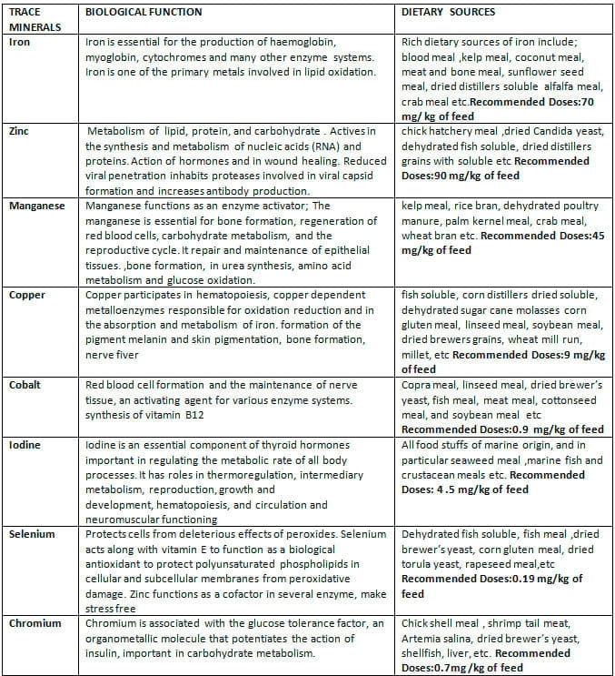 Importance and Optimizing Trace Minerals in Shrimp/Fish Nutrition for Development of Immunity - Image 1