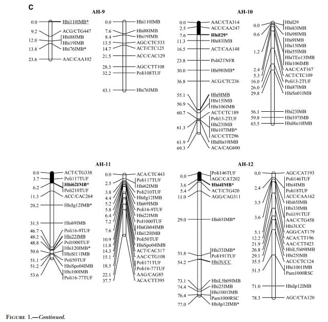 A Genetic Linkage Map of Atlantic Halibut (Hippoglossus hippoglossus L.) - Image 8