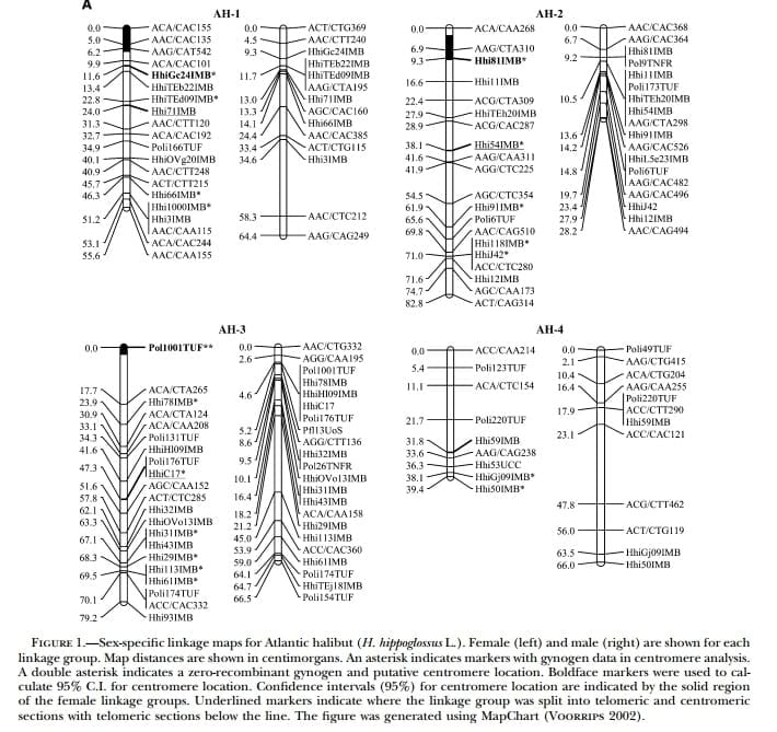 A Genetic Linkage Map of Atlantic Halibut (Hippoglossus hippoglossus L.) - Image 4