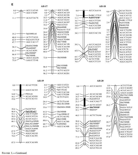 A Genetic Linkage Map of Atlantic Halibut (Hippoglossus hippoglossus L.) - Image 16