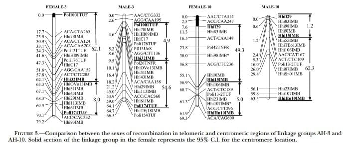 A Genetic Linkage Map of Atlantic Halibut (Hippoglossus hippoglossus L.) - Image 14