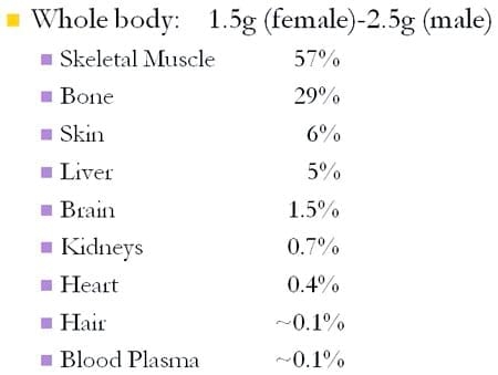 The Importance of Zinc in Animal Health - Image 4