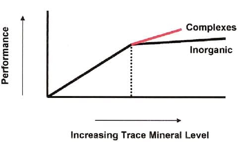 The Importance of Zinc in Animal Health - Image 6