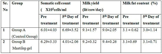 Management of Bovine Subclinical Mastitis with Mastilep Gel - Image 1