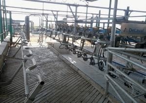 A Pocket Guide to Modern Milking Technique - Image 2