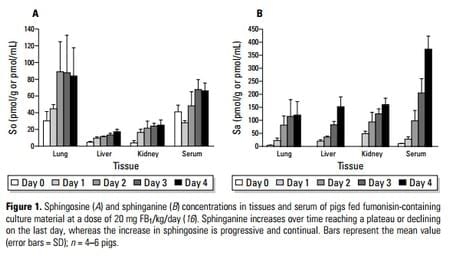 Fumonisin Toxicosis in Swine: An Overview of Porcine Pulmonary Edema and Current Perspectives - Image 1