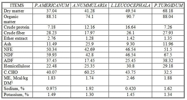 Some Nutritional Studies of Four Salt-Tolerant Fodder Crops Fed to Goats under Saline Conditions in Egypt - Image 1