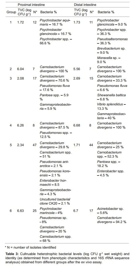 Evaluation of Prebiotic and Probiotic Effects on the Intestinal Gut Microbiota and Histology of Atlantic salmon (Salmo salar L.) - Image 3